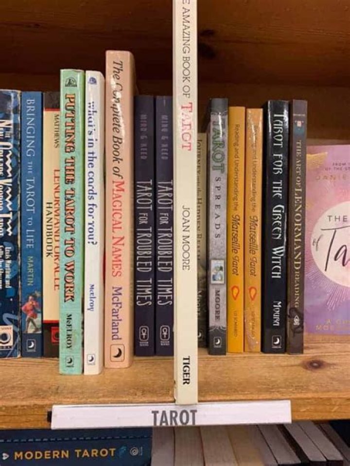17 Must-Read Tarot Books from Beginners to Advanced