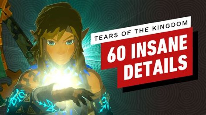 60 Little Details We Love in The Legend of Zelda: Tears of the Kingdom