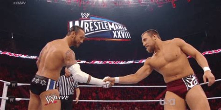 Better in ring : Daniel Bryan or CM Punk?
