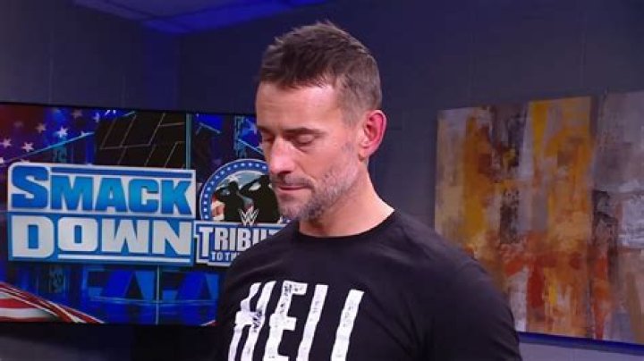 CM Punk - Top Merchandise Seller?
