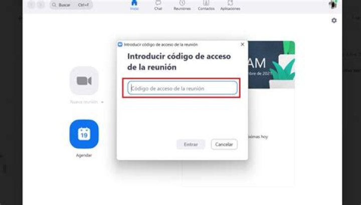 Cómo usar Zoom: guía rápida para principiantes