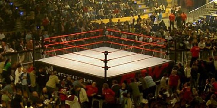 Everything About The Wrestling Ring