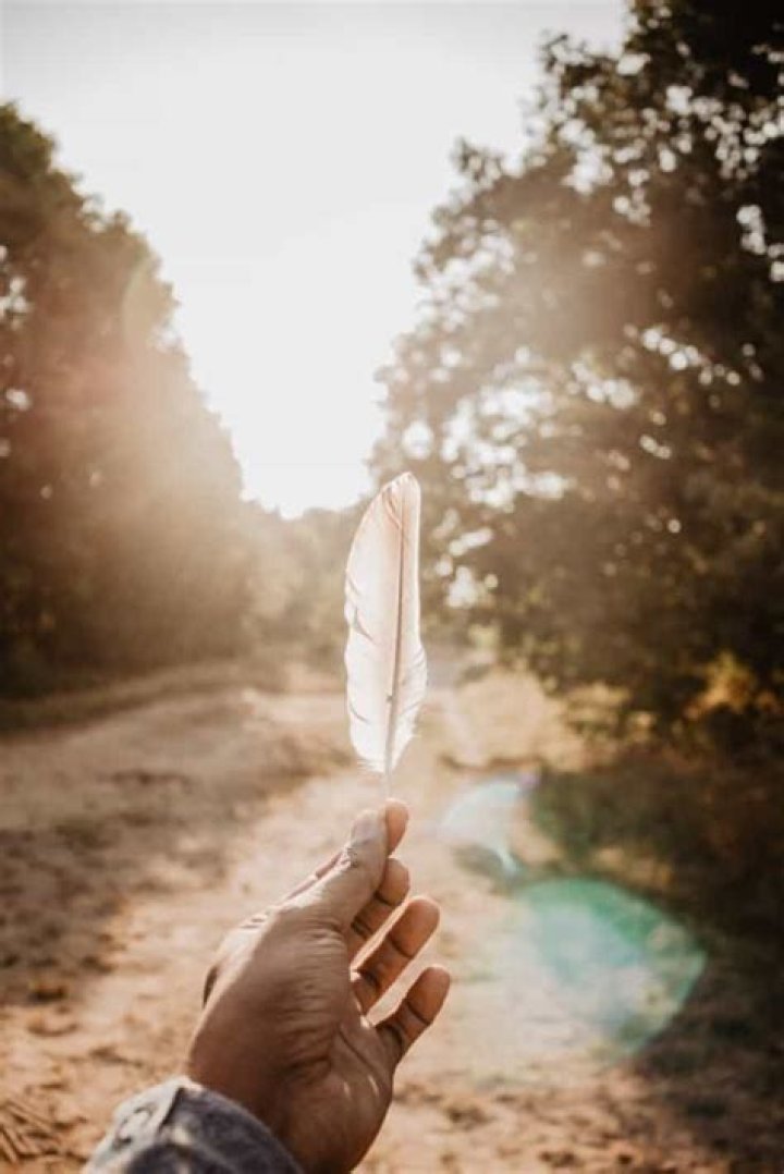 Feather Meaning And Spiritual Symbolism: The Ultimate Guide
