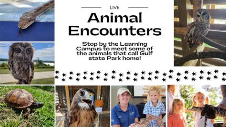 Five Animal Encounters in Eastern, NE