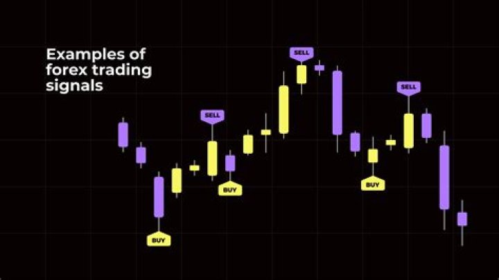 Forex trading signals: Separating noise from actionable insights