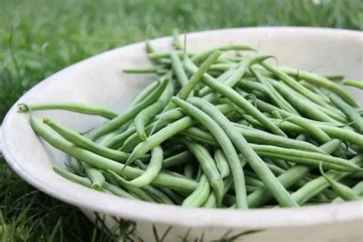 Green Bean Glycemic Index: Nutrition Facts, Weight Loss, Health Benefits