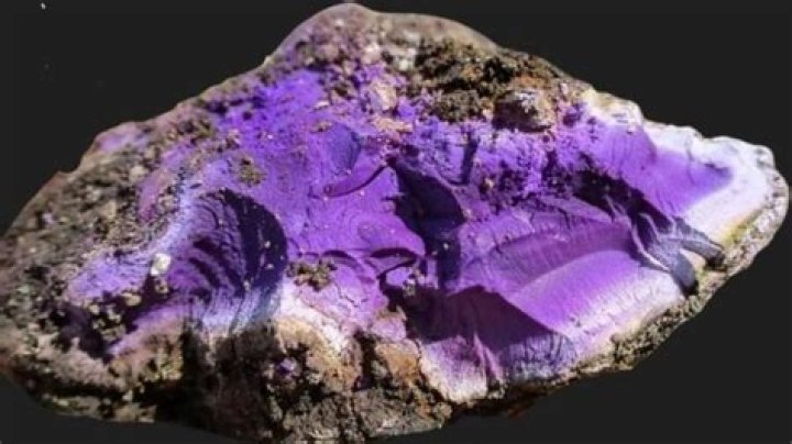 Here's why one gram of pure Tyrian purple pigment costs almost $3,000