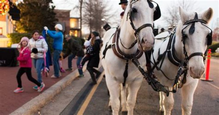 Horse-Drawn Carriage Rides at Stony Point Fashion Park