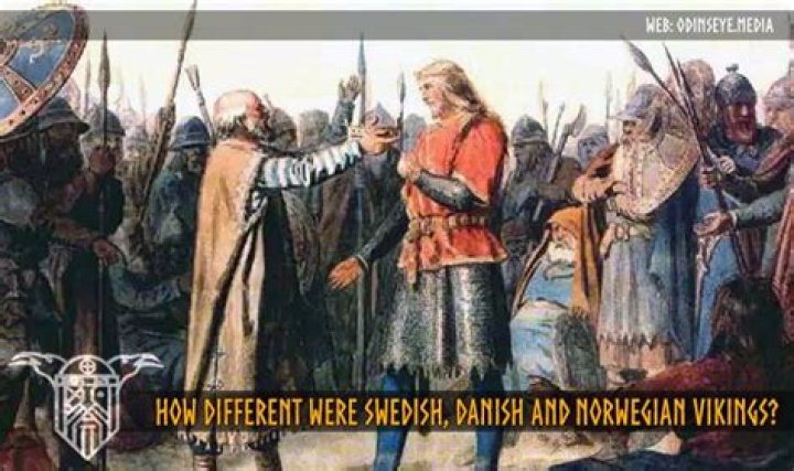 How different were Swedish, Danish, and Norwegian Vikings?