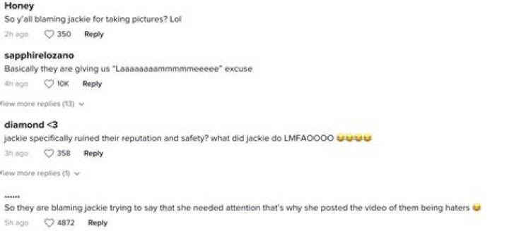Litzareli Madrigal Cyberbullying in The Viral TikTok Incident Does Call-out Culture Affect Individuals?