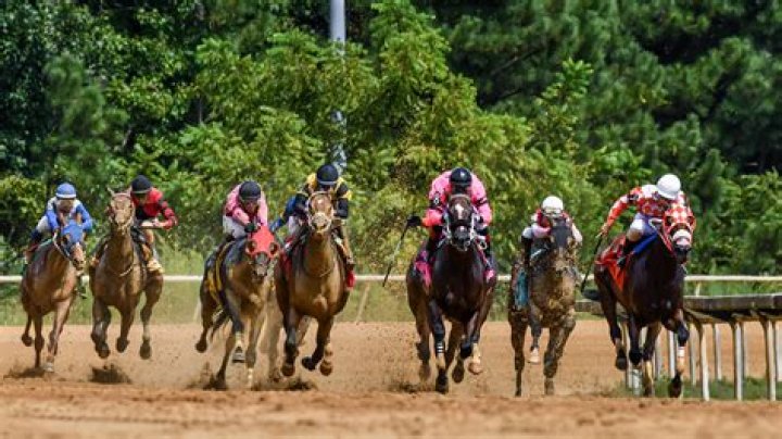 Live Horse Racing at Colonial Downs
