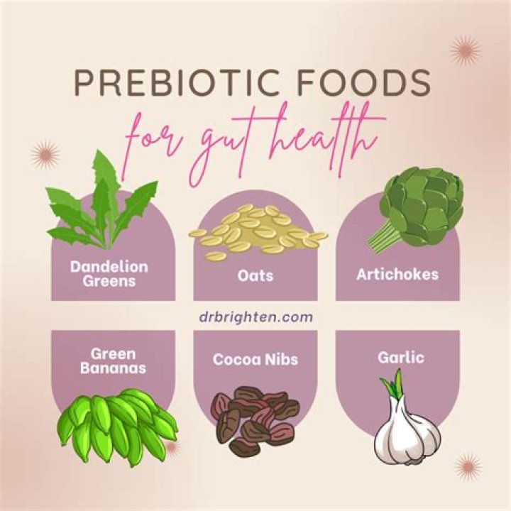 Prebiotic Foods List: Enhance Your Gut Health | Signos