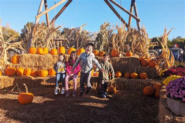 Road Trip: Vala's Pumpkin Patch