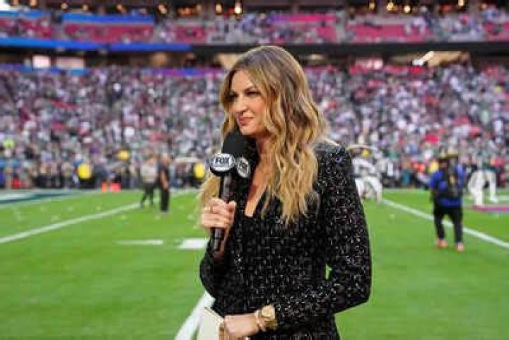 Salary, Income, Net Worth: Erin Andrews - 2024