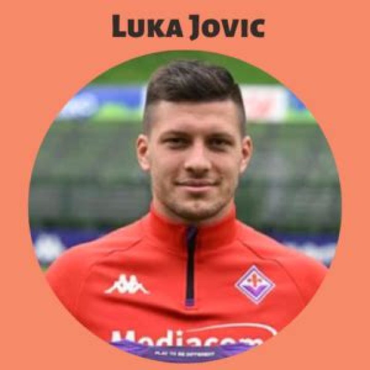Salary, Income, Net Worth: Luka Jović - 2024