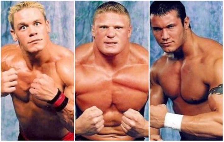 Salary Wrestler, WWE, Brock Lesnar, John Cena, Roman Reigns, Randy Orton, the Rock - 2024