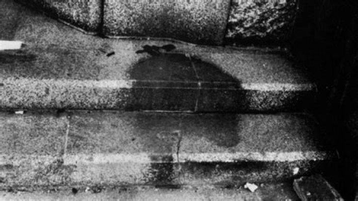 Shadows of Hiroshima: Testaments to Unimaginable Tragedy