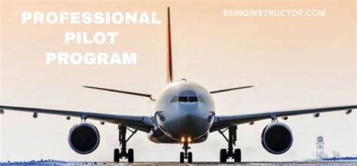 The Benefits of a Professional Pilot Program
