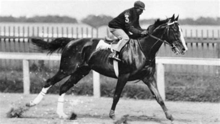 The Last Black Jockey to Win the Kentucky Derby:James Winkfield