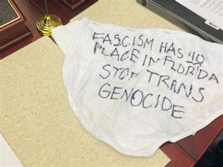 Watch Protestors Throw Underwear on Republicans Discussing Anti-Trans Legislation
