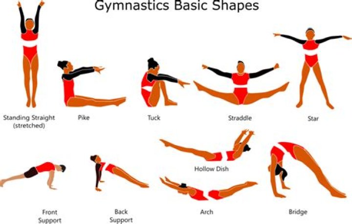 We Do Not Teach Gymnastics Lessons, We Teach Life Lessons