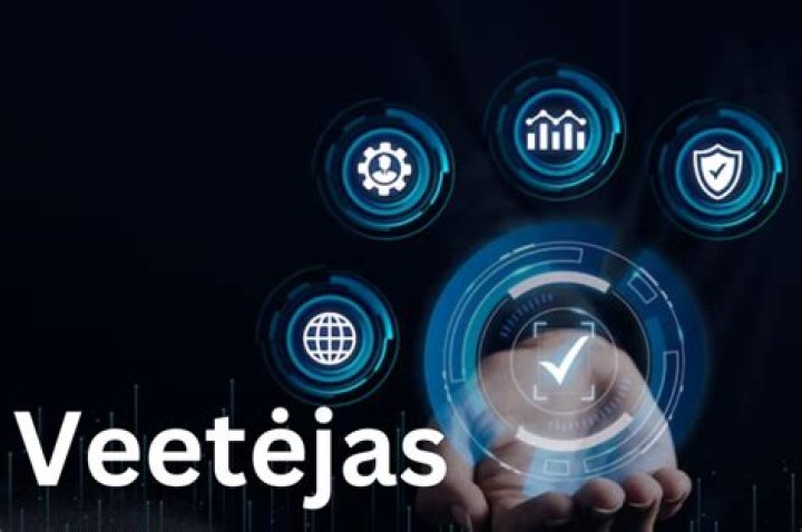 What Is The VEETĖJAS? Exploring Roles, History, Perspectives & More