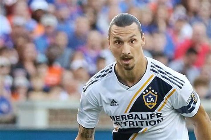 Zlatan Ibrahimović Parents: Meet Šefik Ibrahimović And Jurka Gravić